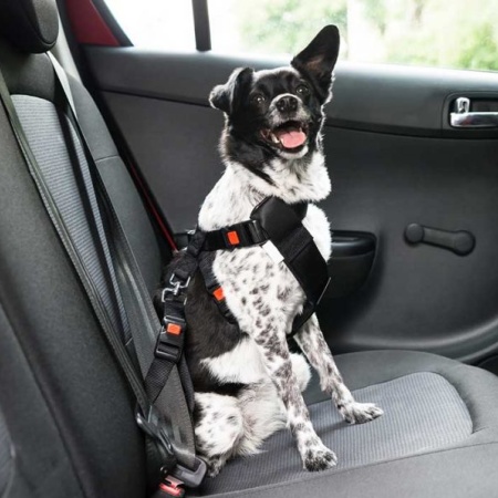 Este es el cinturón de seguridad definitivo para viajar con tu perro en el  coche, con un precio mínimo